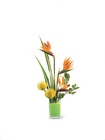 /images/ftd09white/C23-4168^1lg.jpg Tropical Bright Arrangement